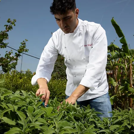 Oda ve Kahvaltı Panacea 4*