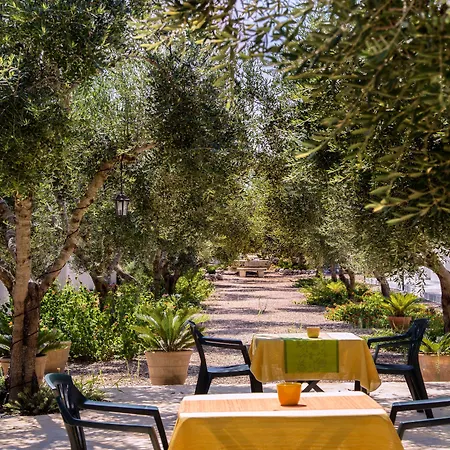 Panacea Bed and Breakfast