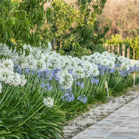 Panacea Bed and Breakfast Santa Cesarea Terme