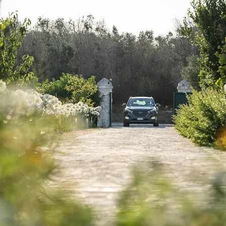 Panacea 住宿加早餐酒店 4*