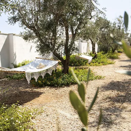Panacea 4*