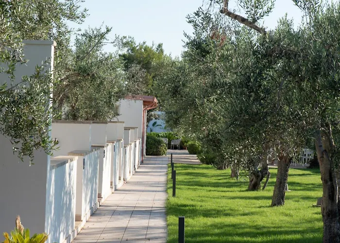 Panacea 4* 圣凯撒利亚温泉